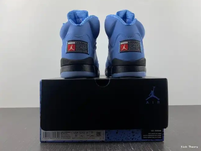 Kicktheory Air UNC 5 Jordan DV1310-401 0530